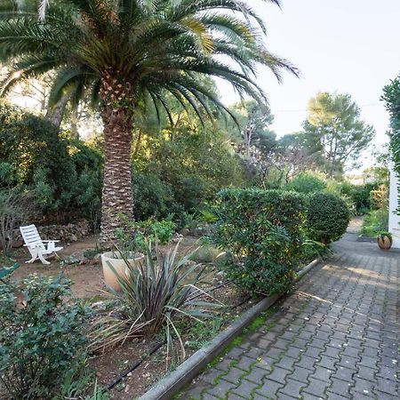 Les Pierreplane Daire Bandol Dış mekan fotoğraf